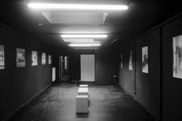 Studio Deniz Weber